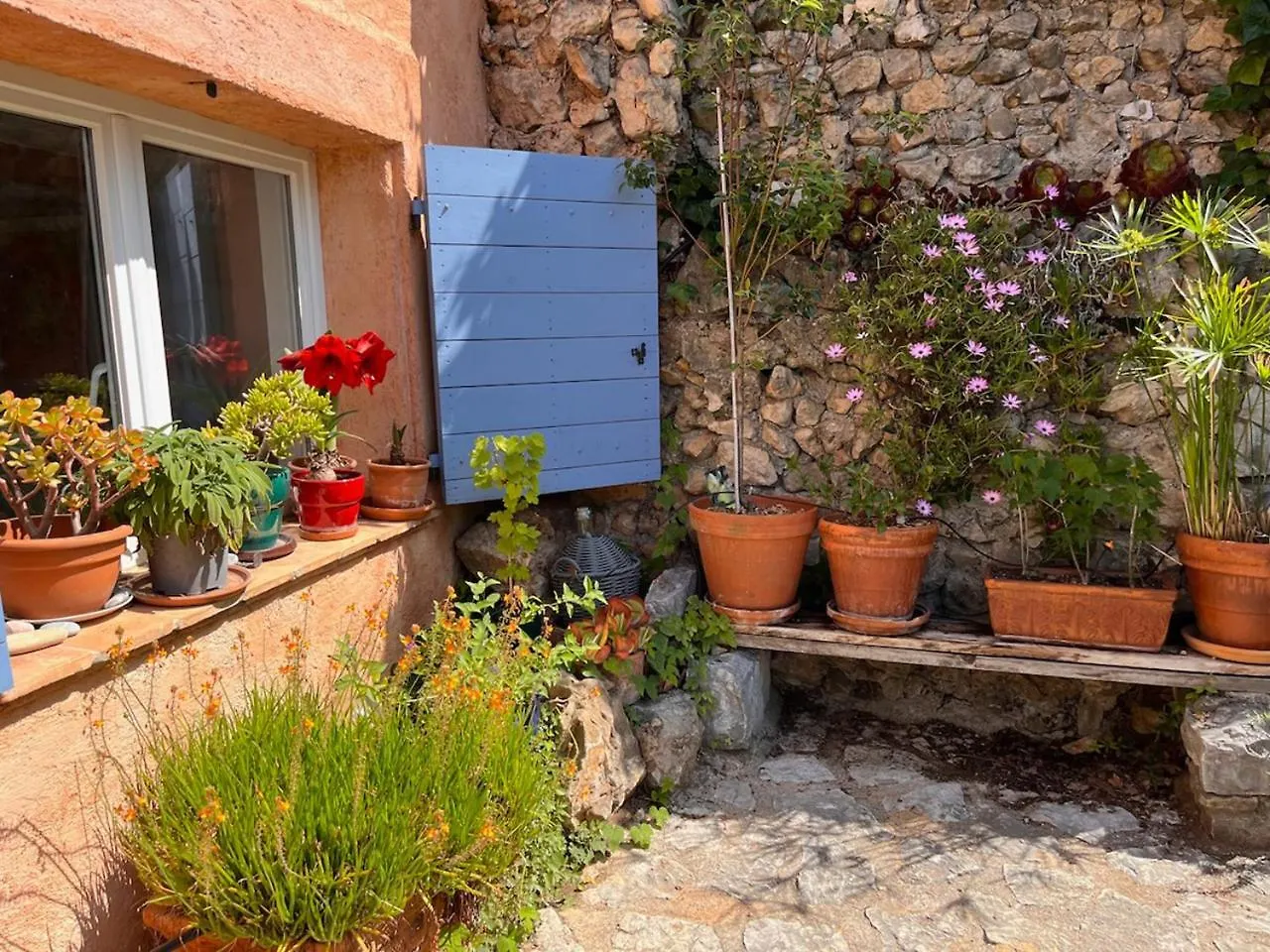 Domaine La Cigogne, Provencal House With Pool & Big Garden Villa Vence 0*,  France